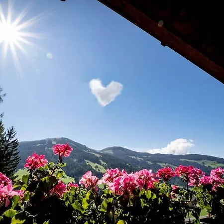 Landhaus Alpbach Holiday Apt Holiday home *