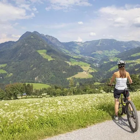 Holiday home Landhaus Alpbach Holiday Apt