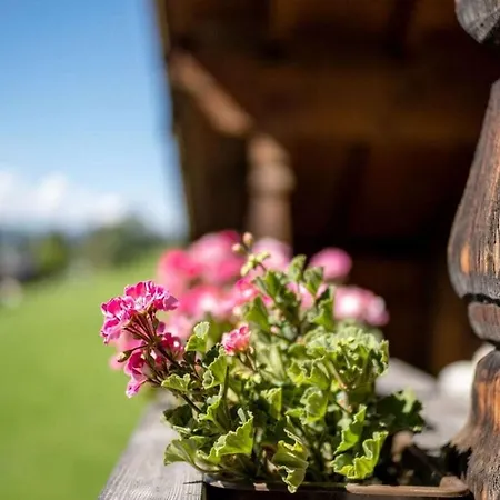 Holiday home Landhaus Alpbach Holiday Apt Alpbach